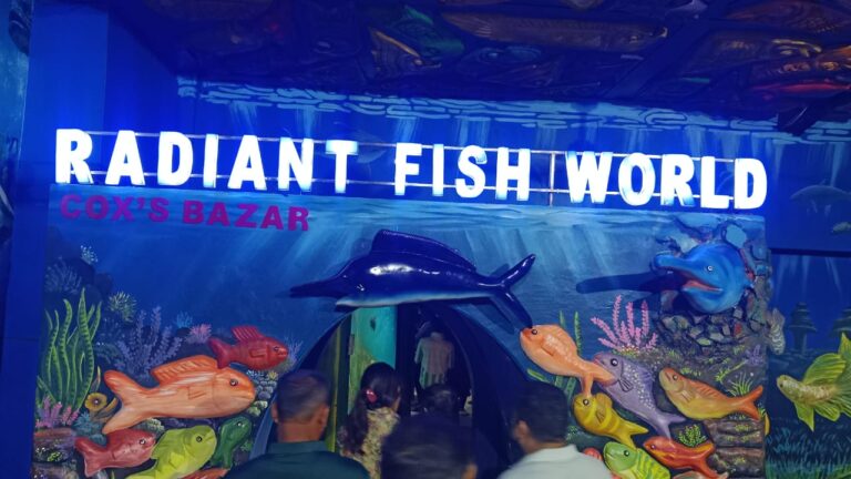 রেডিয়েন্ট ফিস ওয়ার্ল্ড
