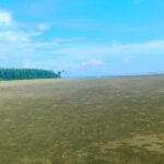 শাহপরীর দ্বীপ ভ্রমণ