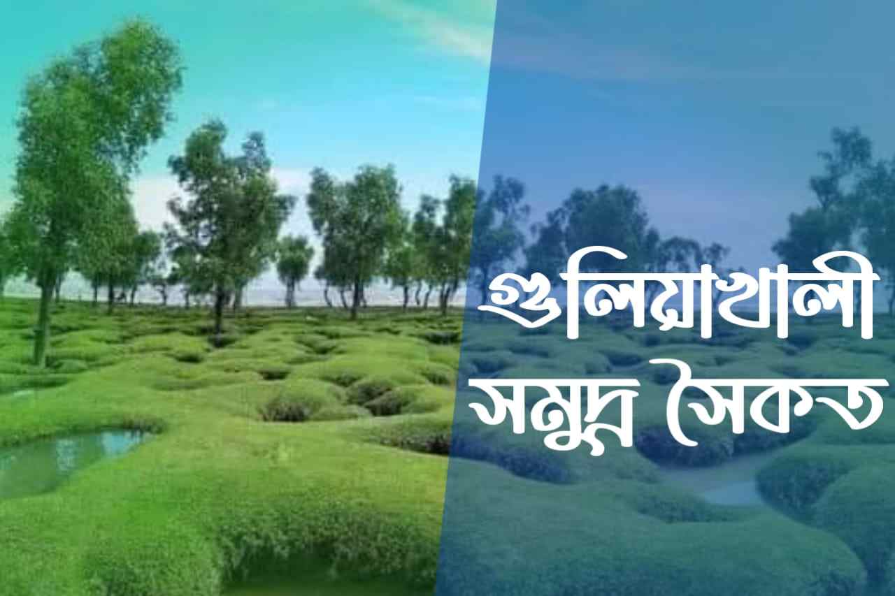 গুলিয়াখালী সমুদ্র সৈকত