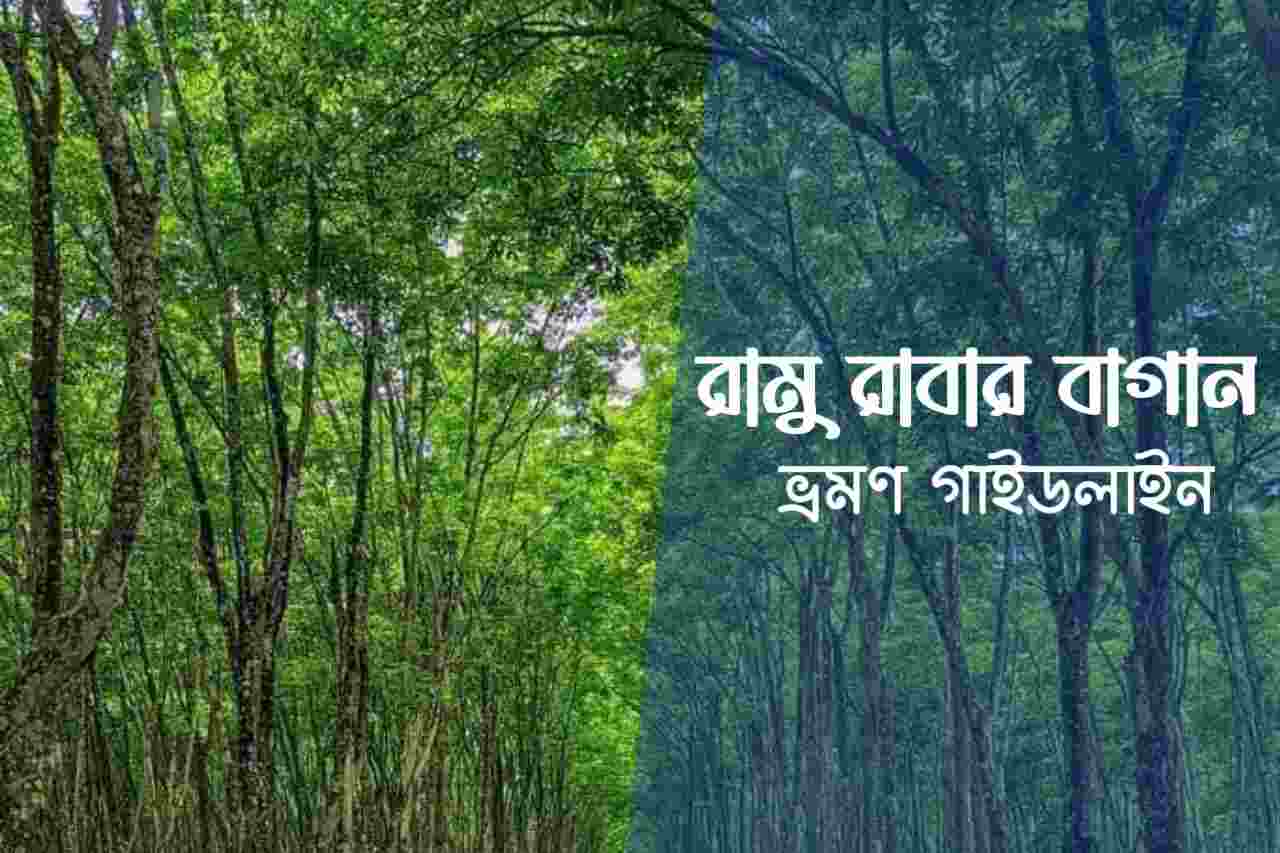 রামু রাবার বাগান Ramu Rubber Garden