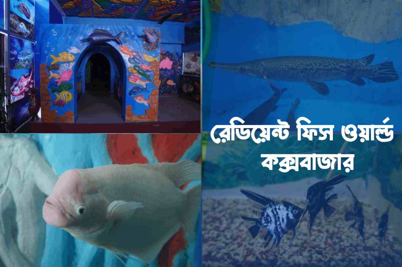 রেডিয়েন্ট ফিস ওয়ার্ল্ড Radiant Fish World