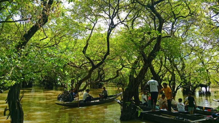 রাতারগুল সোয়াম্প ফরেস্ট
