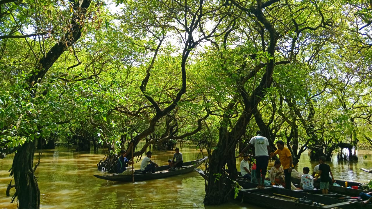 রাতারগুল সোয়াম্প ফরেস্ট