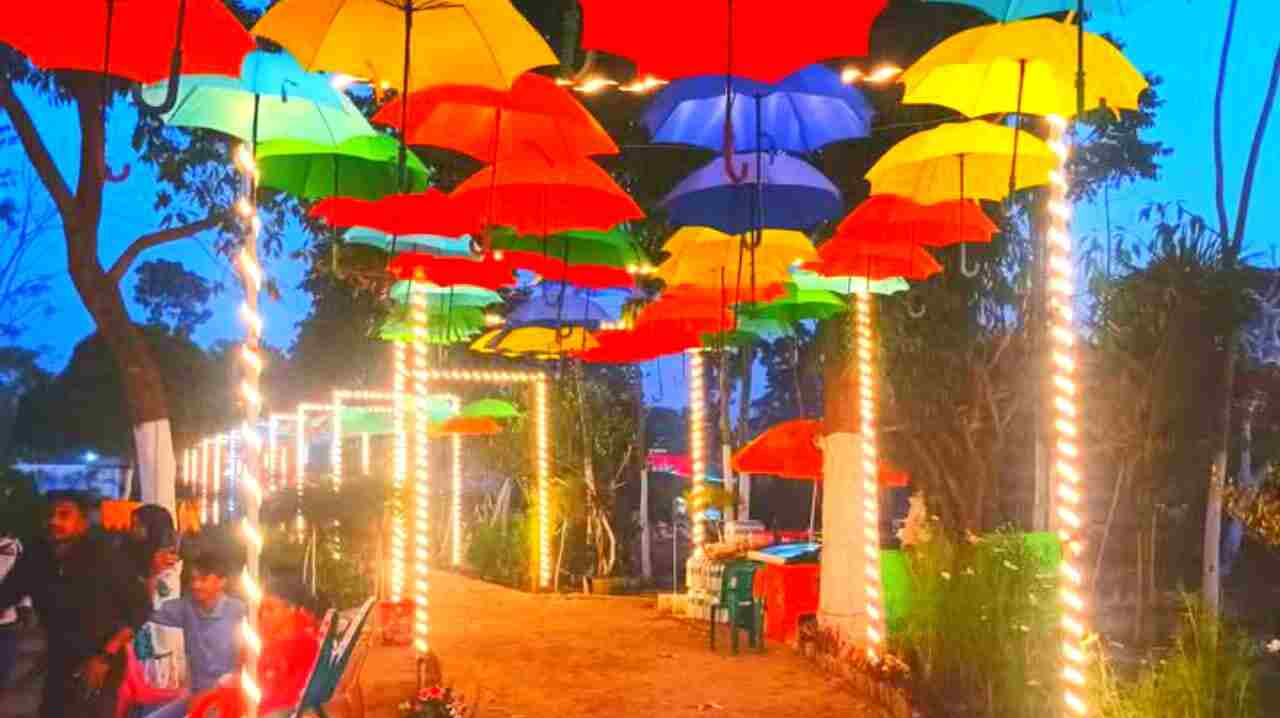 Godkhali flower garden