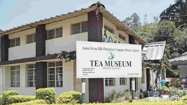 চা জাদুঘর