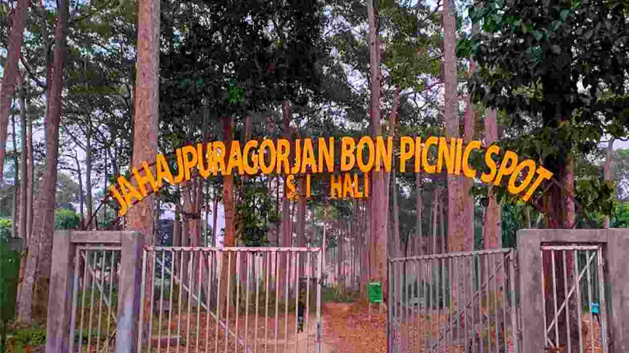 জাহাজপুরা গর্জন বন পিকনিক স্পট