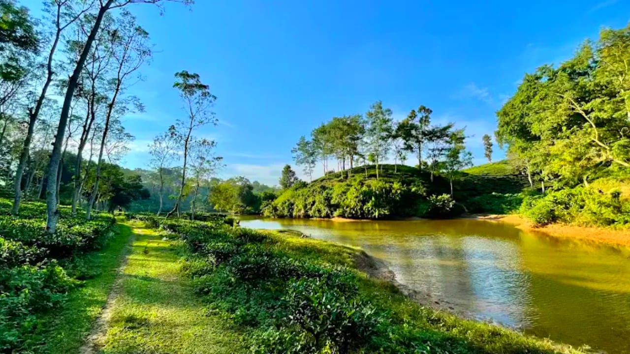 বিলাসছড়া লেক