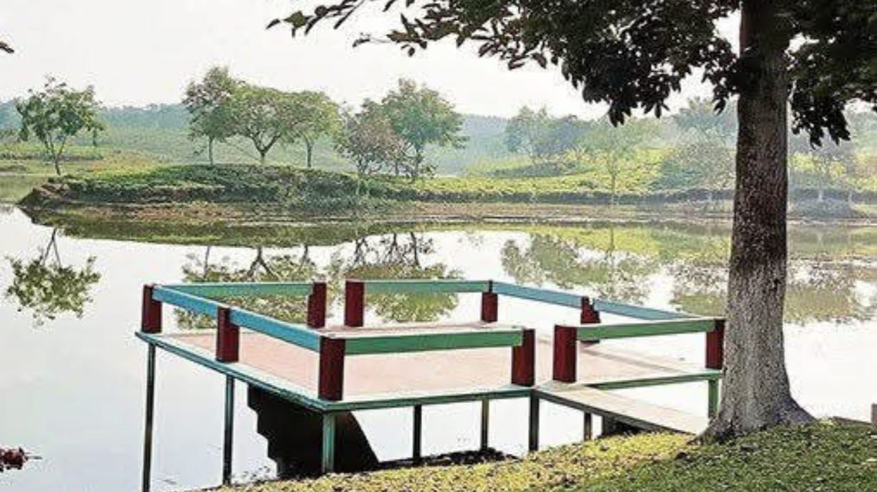 ক্যামেলিয়া লেক